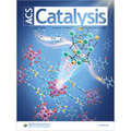 General, Quantified Structure-Performance Correlations for Synergistic Heteronuclear Electro-, Polymerization, and Asymmetric Catalysts