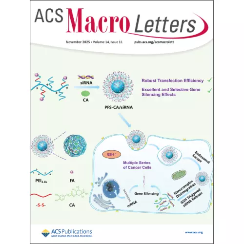 Block CO2-Polycarbonates: Tunable Chain Extension with Zn(II) Carboxylates