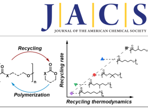 JACS Graphical abstract
