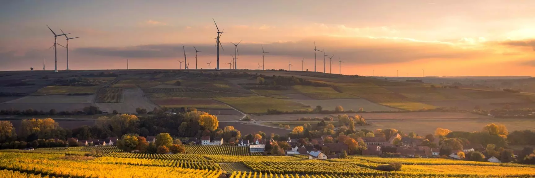 View of an agricultural field at sunset with wind turbines in the background